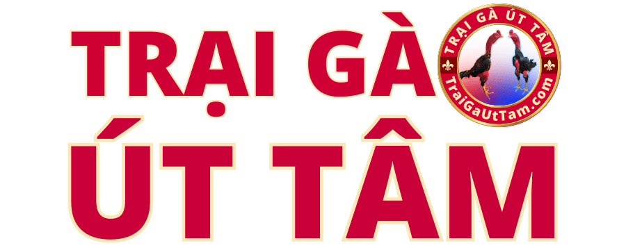 Trại gà Út Tâm