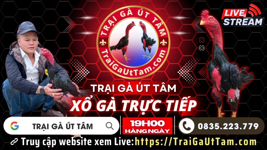 Video 20:20 ngày 4/9 – Trại Gà Út Tâm