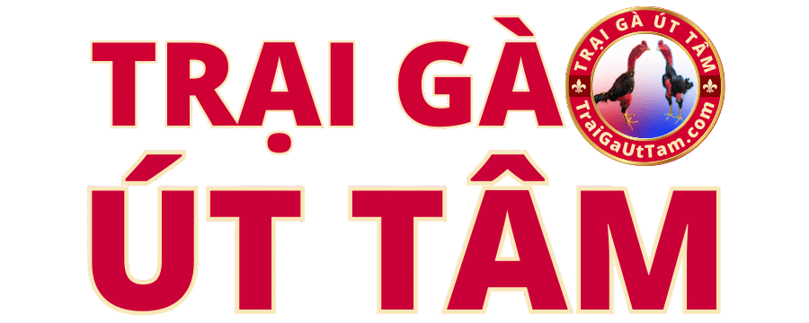 Trại Gà Út Tâm