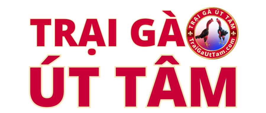 Trại Gà Út Tâm